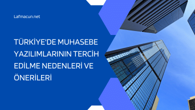 Muhasebe Yazılımları