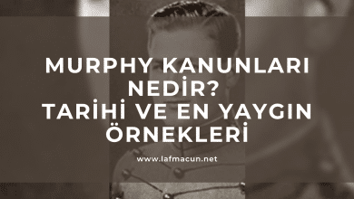 murphy yasaları nelerdir?