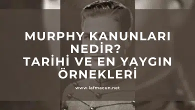 murphy yasaları nelerdir?