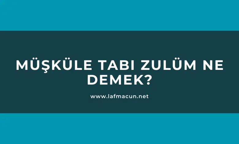 Müşküle Tabi Zulüm Ne Demek? 1 Müşküle Tabi Zulüm Ne Demek?