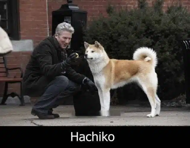 Hachiko: Bir Köpeğin Hikayesi (Hachi: A Dog's Tale)