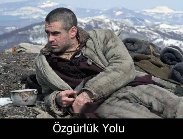 Özgürlük Yolu (Into the Wild)