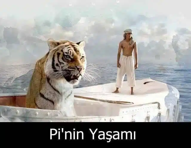 Pi'nin Yaşamı (Life of Pi)