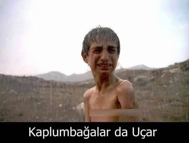 Kaplumbağalar da Uçar (Turtles Can Fly)