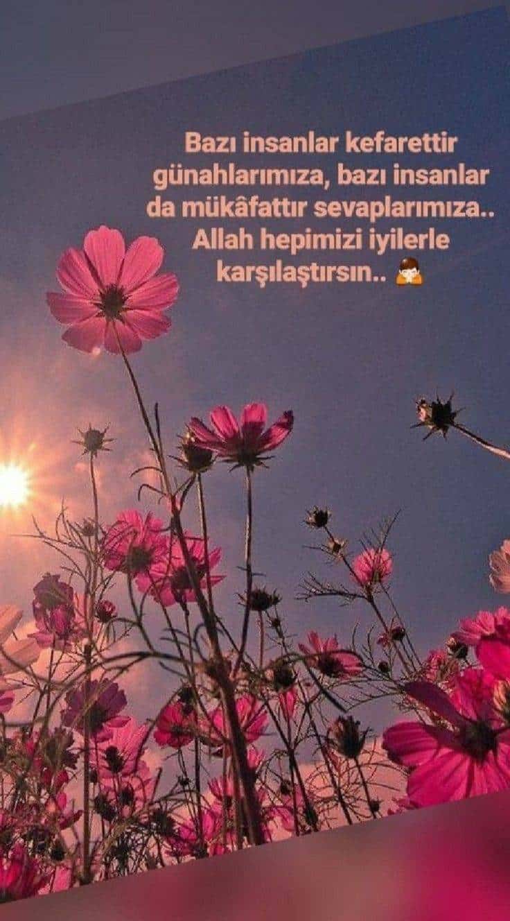 Resimli Günaydın Mesajları