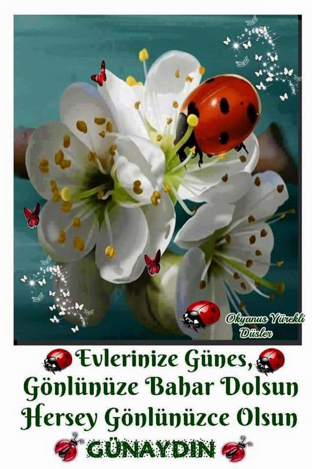 Resimli Günaydın Mesajları