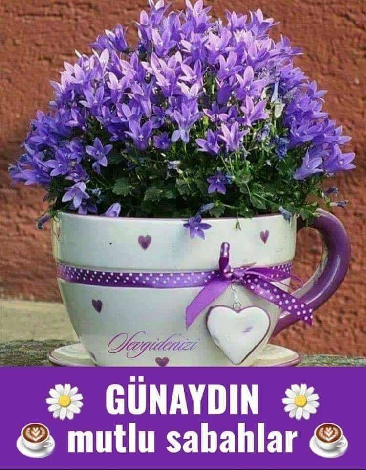 Resimli Günaydın Mesajları