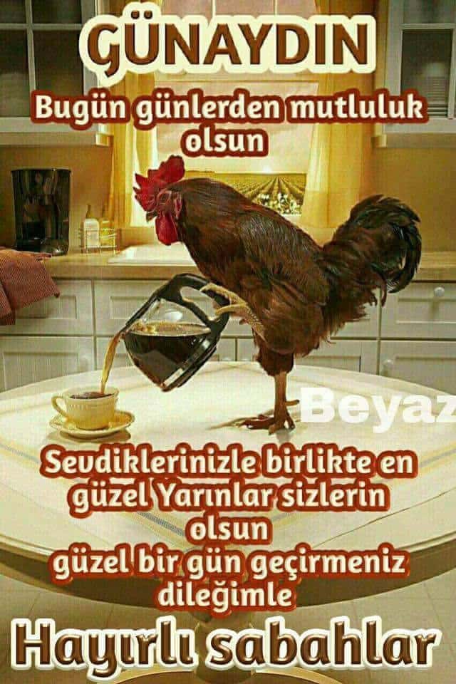 Uzun Günaydın Mesajları