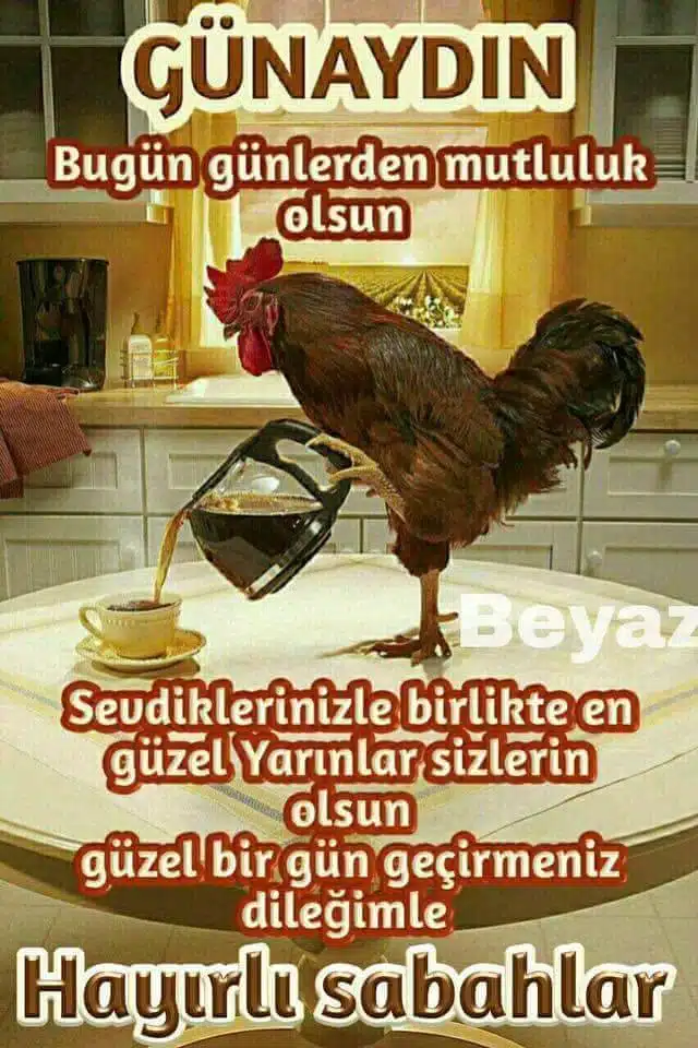 Günaydın Mesajları - Günaydın Sözleri 12 Uzun Günaydın Mesajları