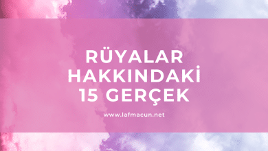 Rüya Hakkındaki 15 Gerçek 1 Rüya Hakkındaki 15 Gerçek