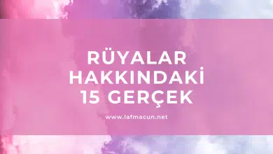 Rüya Hakkındaki 15 Gerçek