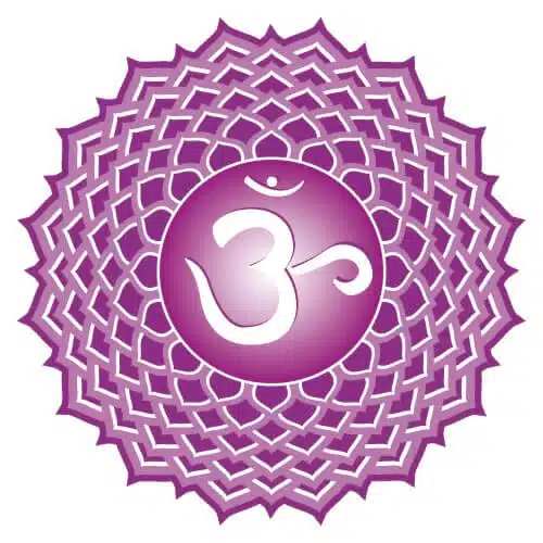 7 Adımda Çakra: Sembolleri, Anlamları ve Dengeleme Yöntemleri 8 Taç Çakra (Sahasrara)