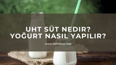Uht Süt Nedir? Yoğurt Nasıl Yapılır?