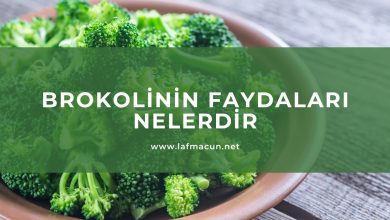 Brokolinin Faydaları Nelerdir 1 Brokolinin Faydaları Nelerdir