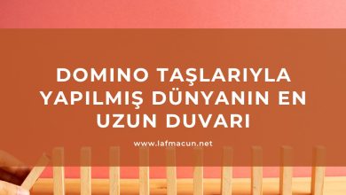 Domino Taşlarıyla Yapılmış Dünyanın En Uzun Duvarı 2 Domino Taşlarıyla Yapılmış Dünyanın En Uzun Duvarı