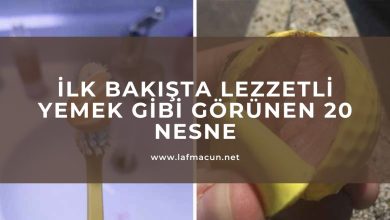 İlk Bakışta Lezzetli Yemek Gibi Görünen 20 Nesne 20 İlk Bakışta Lezzetli Yemek Gibi Görünen 20 Nesne