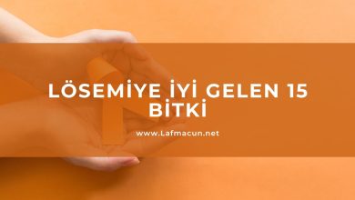 Lösemiye İyi Gelen 15 Bitki 1 Lösemiye İyi Gelen 15 Bitki