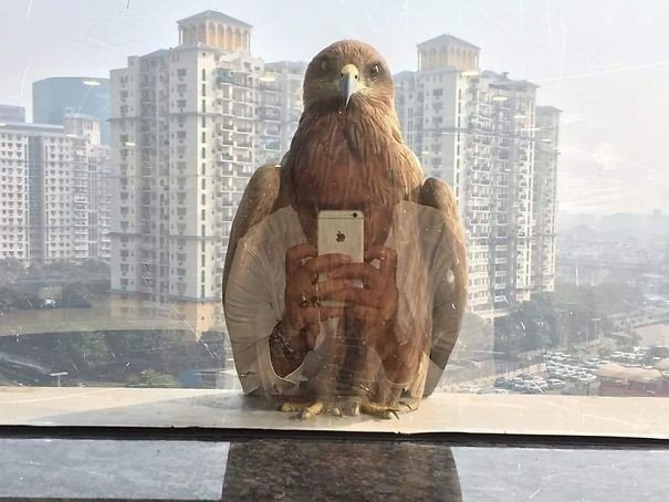 Zamanlama Doğru olduğunda