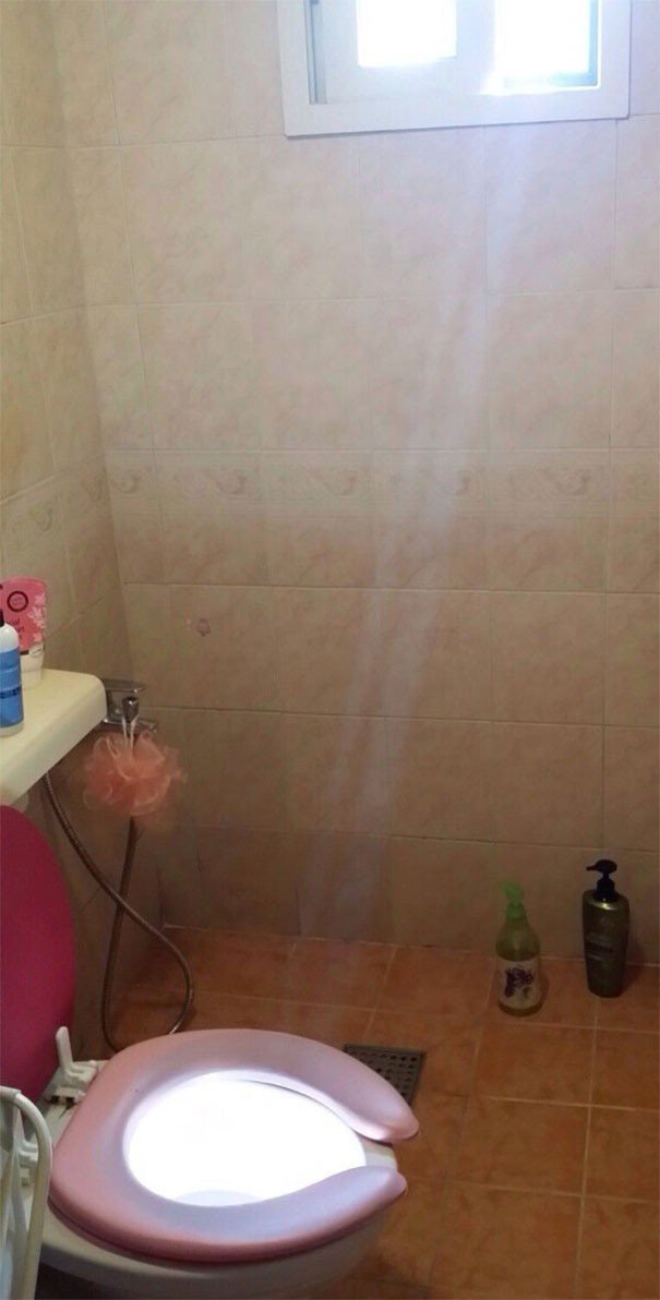 Kutsal klozet