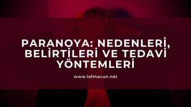 Paranoya: Nedenleri, Belirtileri ve Tedavi Yöntemleri 1 Paranoya: Nedenleri, Belirtileri ve Tedavi Yöntemleri