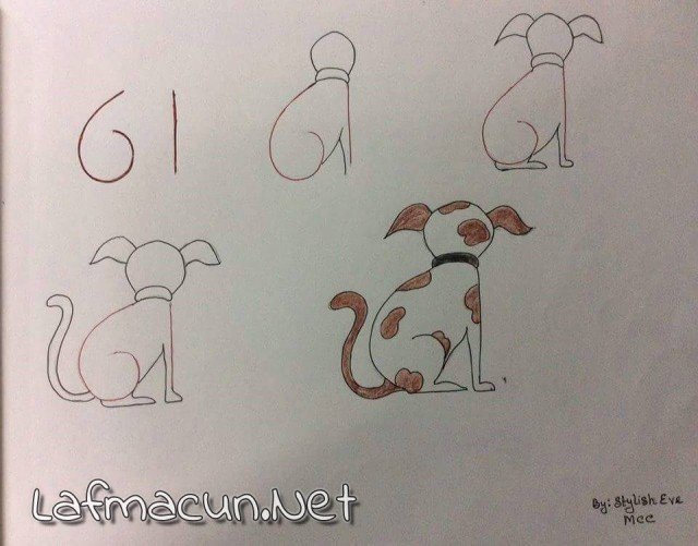 61 den Köpek Çizmek