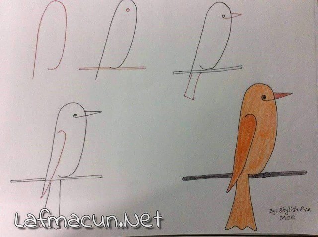 Kuş Çizmeyi Öğrenmek