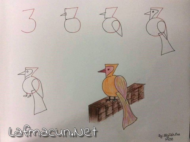 3 den Kuş Çizmek