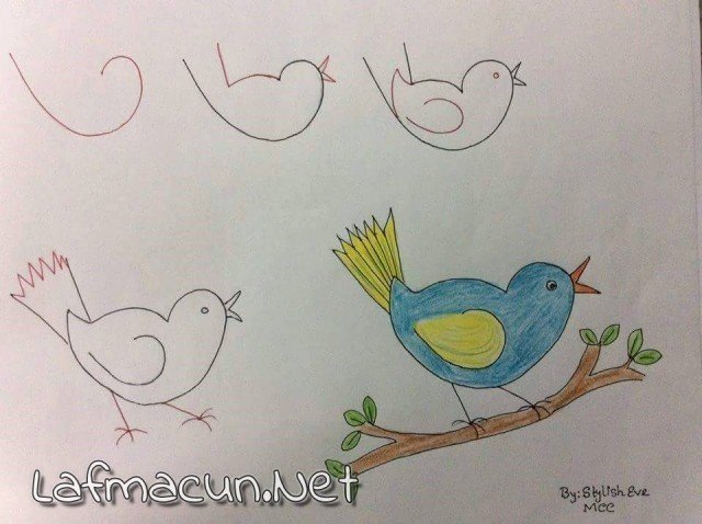 6 dan Kuş Çizmek