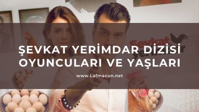 Şevkat Yerimdar Dizi Oyuncuları