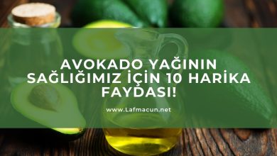 Avokado Yağının Sağlığımız İçin 10 Harika Faydası!