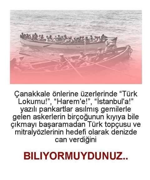 Çanakkale savaşında düşman ordusu