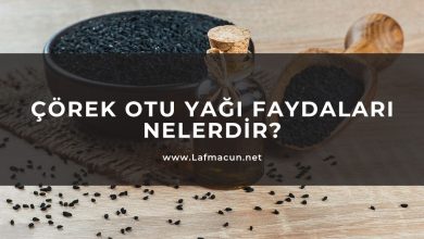 Çörek Otu Yağı Faydaları Nelerdir? 12 Çörek Otu Yağı Faydaları Nelerdir?