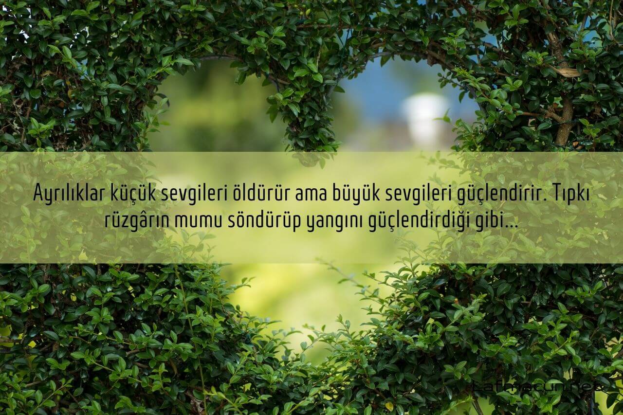 Romantik Sözler Kısa