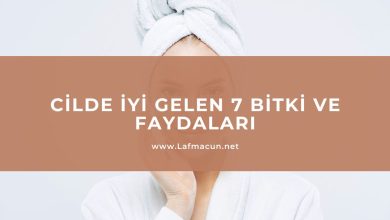 Cilde İyi Gelen 7 Bitki ve Faydaları 1 Cilde İyi Gelen 7 Bitki ve Faydaları