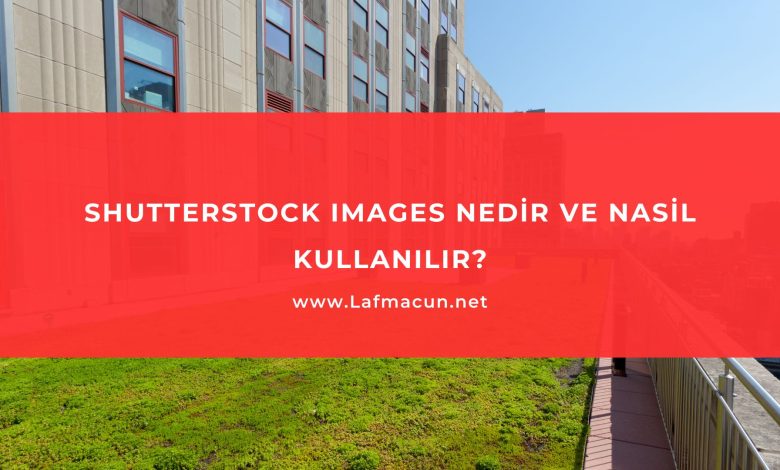 Shutterstock Images Nedir ve Nasıl Kullanılır? 1 Shutterstock Images Nedir ve Nasıl Kullanılır?