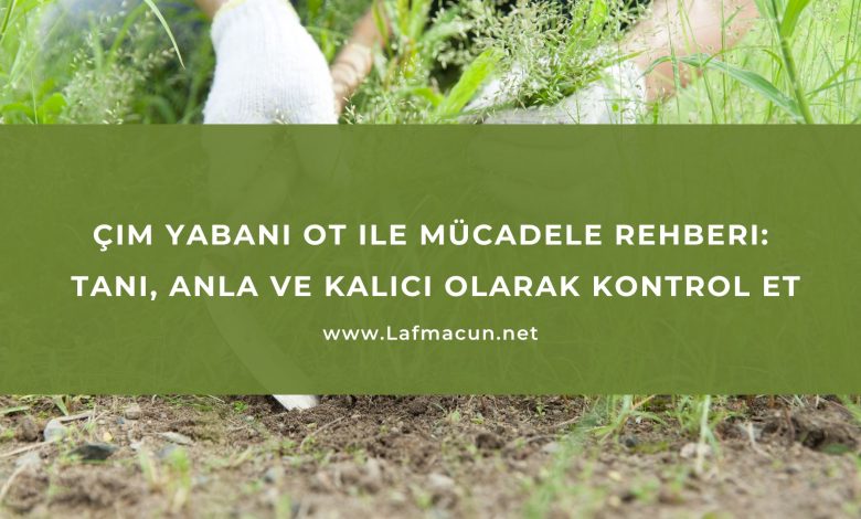 Çim Yabani Ot ile Mücadele Rehberi: Tanı, Anla ve Kalıcı Olarak Kontrol Et 1 Çim Yabani Ot ile Mücadele Rehberi