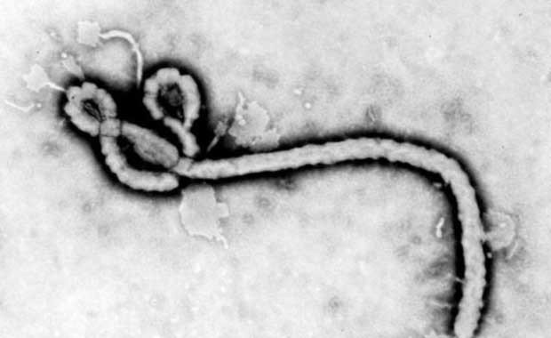 Ebola