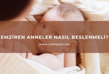 Emziren Anneler Nasıl Beslenmeli?