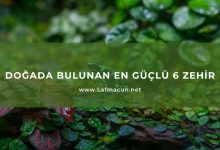 Doğada Bulunan En Güçlü 6 Zehir