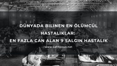 Dünyada Bilinen En Ölümcül Hastalıklar: En Fazla Can Alan 9 Salgın Hastalık 6 Dünyada Bilinen En Ölümcül Hastalıklar