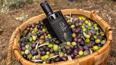 "En İyi Zeytinyağı" Arayışında Bilimsel Kriterler ve Türkiye'den Yükselen Bir Değer: Olivogue 8 En İyi Zeytinyağı