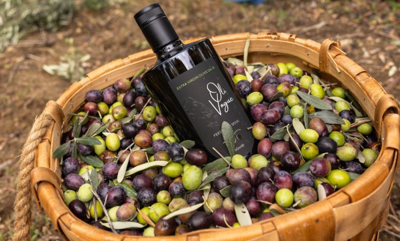 "En İyi Zeytinyağı" Arayışında Bilimsel Kriterler ve Türkiye'den Yükselen Bir Değer: Olivogue 1 En İyi Zeytinyağı